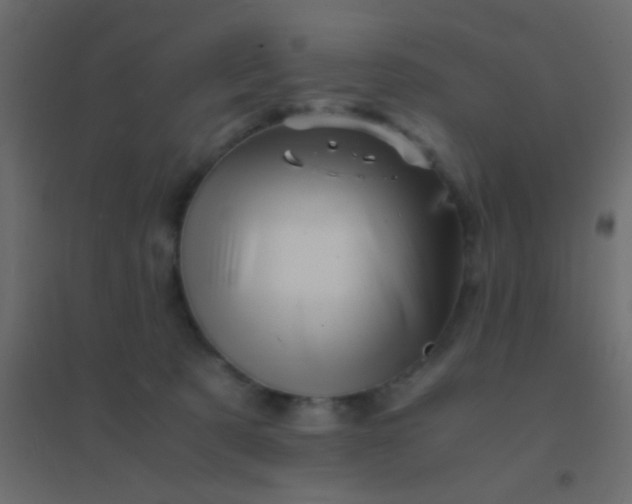 X0000094930321200712131543