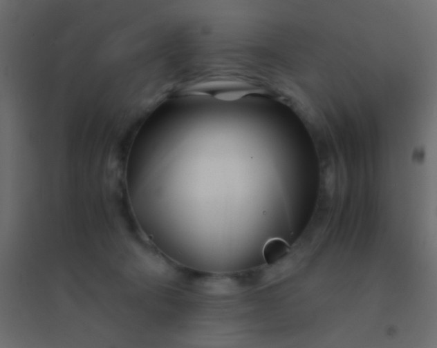 X0000094930322200712131543