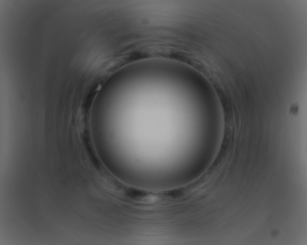 X0000094930323200712131543