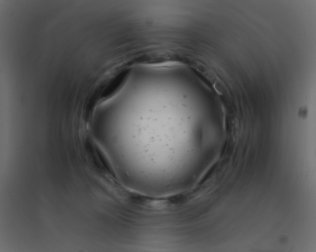 X0000094930324200712131543