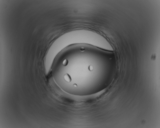 X0000094930325200712131543