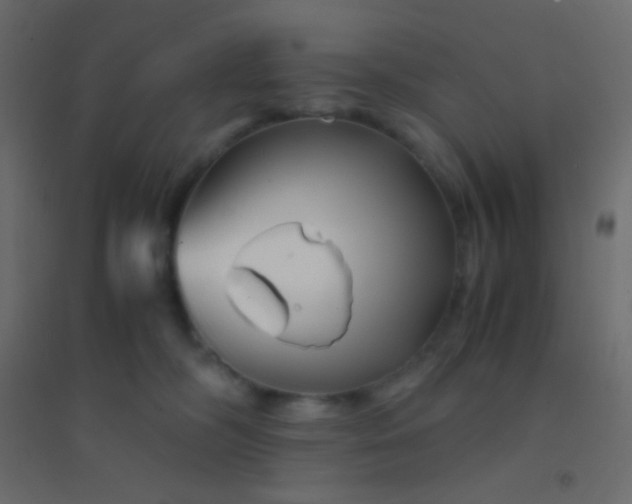 X0000094930326200712131543