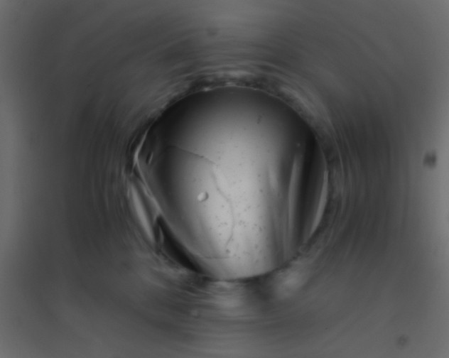 X0000094930328200712131543