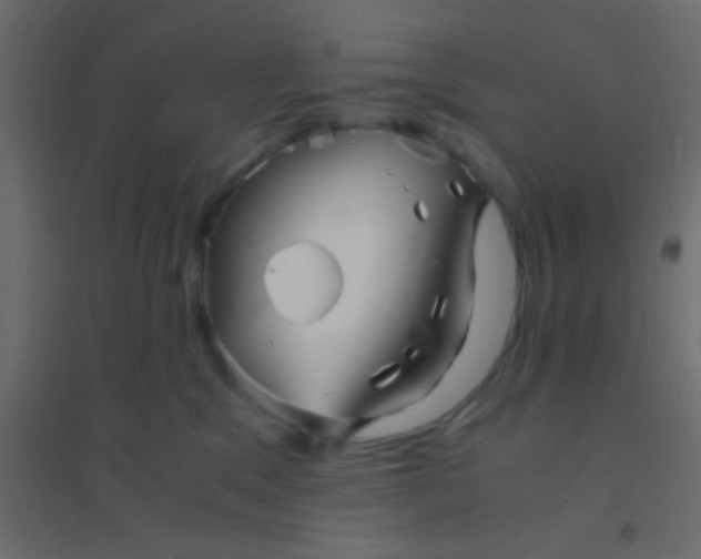 X0000094930329200712131543