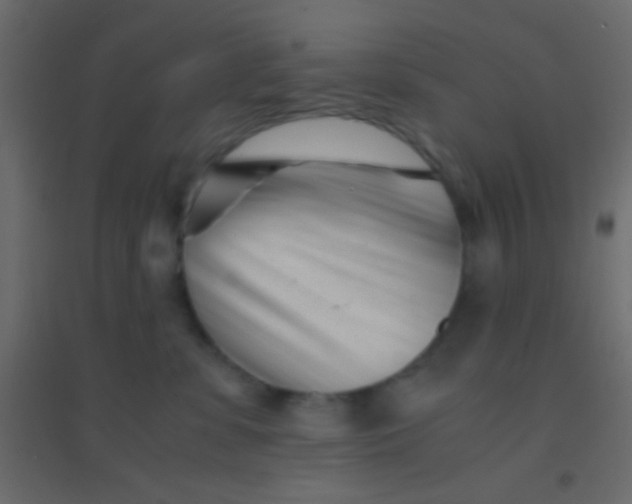 X0000094930331200712131543