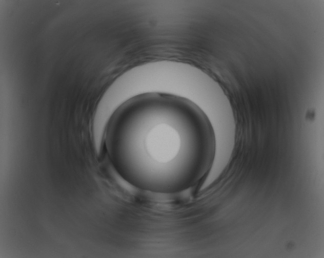 X0000094930332200712131543