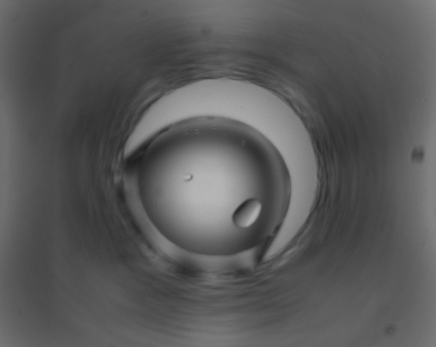 X0000094930333200712131543