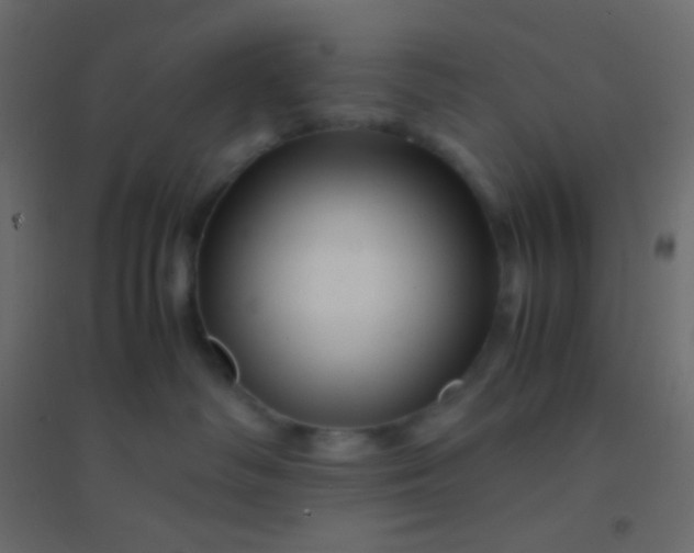 X0000094930334200712131543