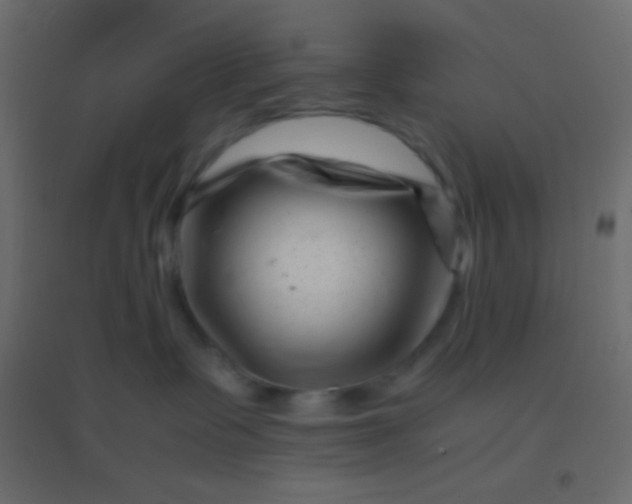 X0000094930335200712131543
