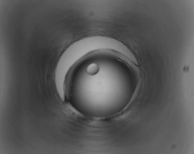 X0000094930336200712131543