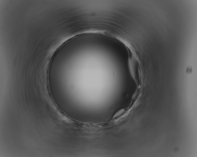 X0000094930337200712131542