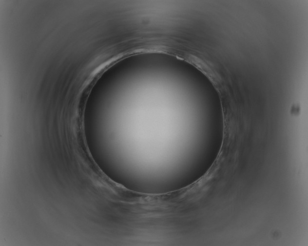 X0000094930338200712131542
