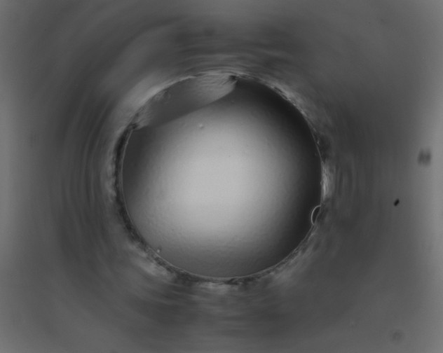 X0000094930339200712131542
