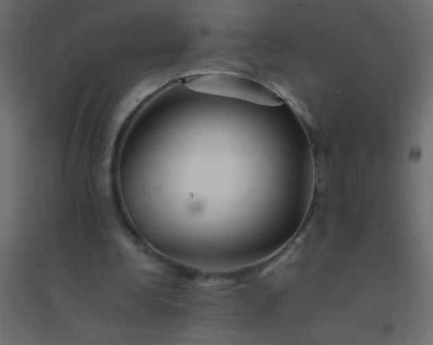 X0000094930340200712131542