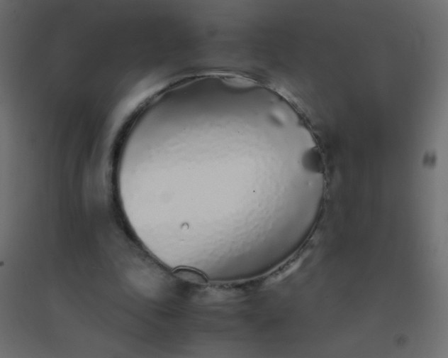 X0000094930343200712131542