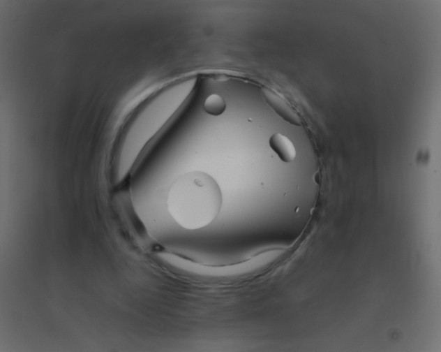 X0000094930344200712131542