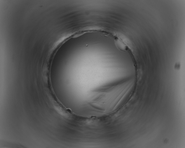 X0000094930345200712131542