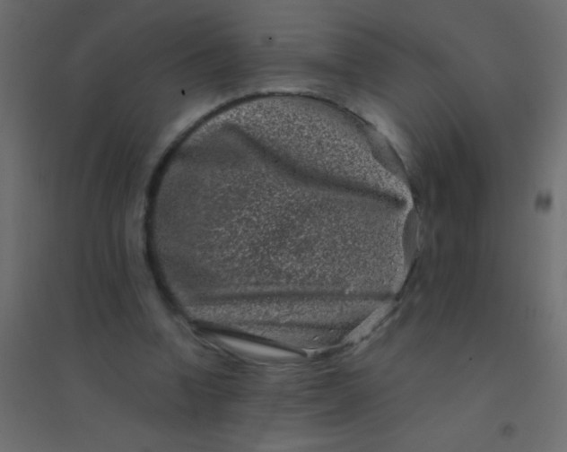 X0000094930346200712131542