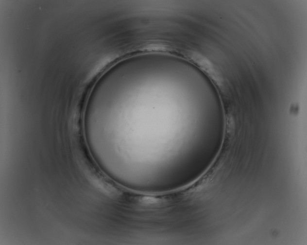 X0000094930347200712131542