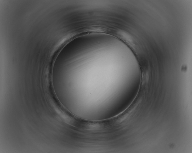 X0000094930349200712131542