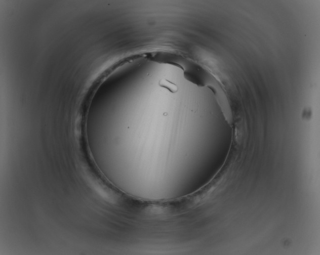 X0000094930350200712131542