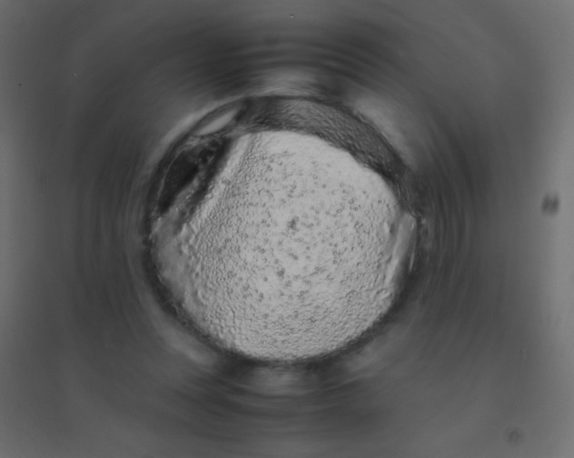 X0000094930351200712131542