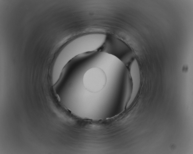 X0000094930352200712131542