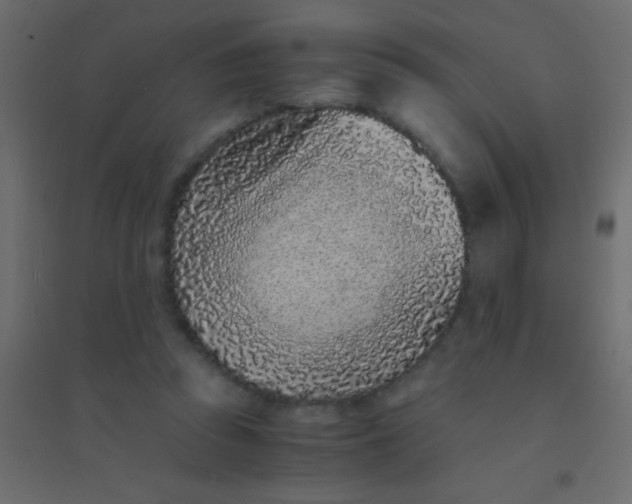 X0000094930353200712131542