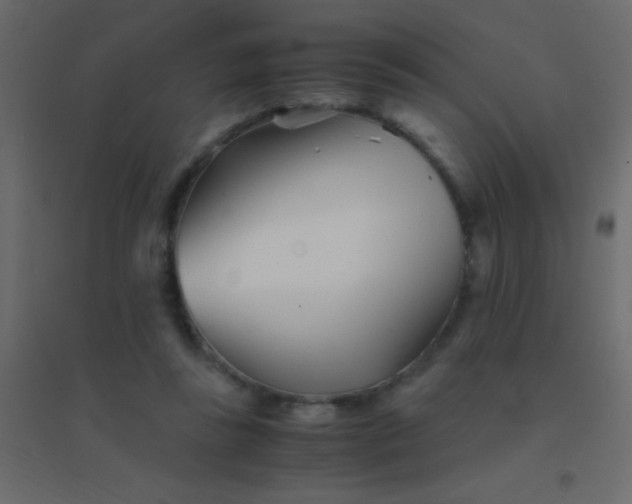 X0000094930355200712131542