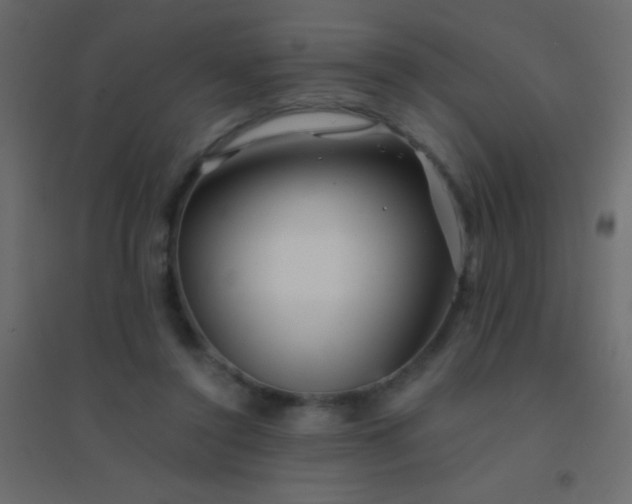 X0000094930356200712131542