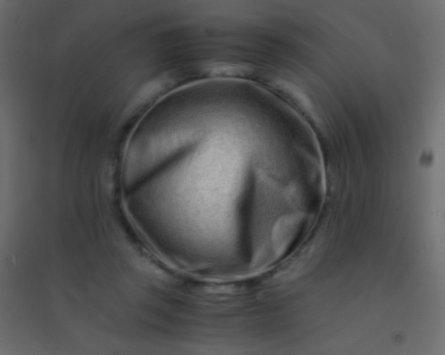 X0000094930357200712131542