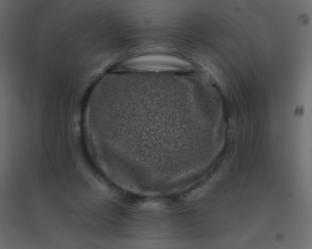 X0000094930358200712131542