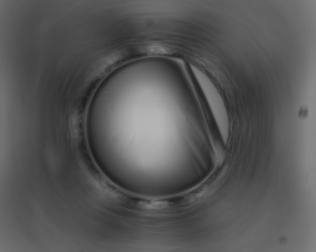 X0000094930359200712131543