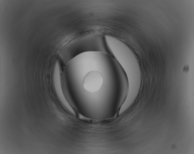 X0000094930360200712131543