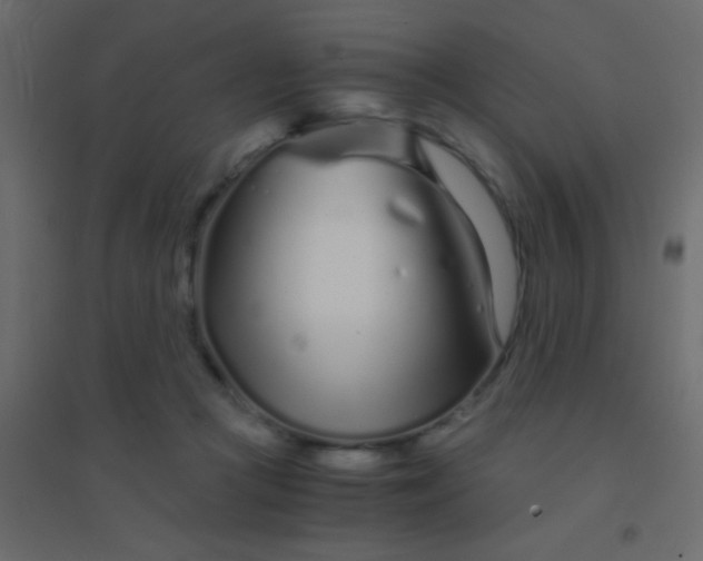 X0000094930361200712131543