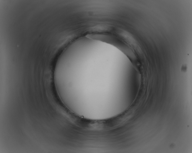 X0000094930362200712131543