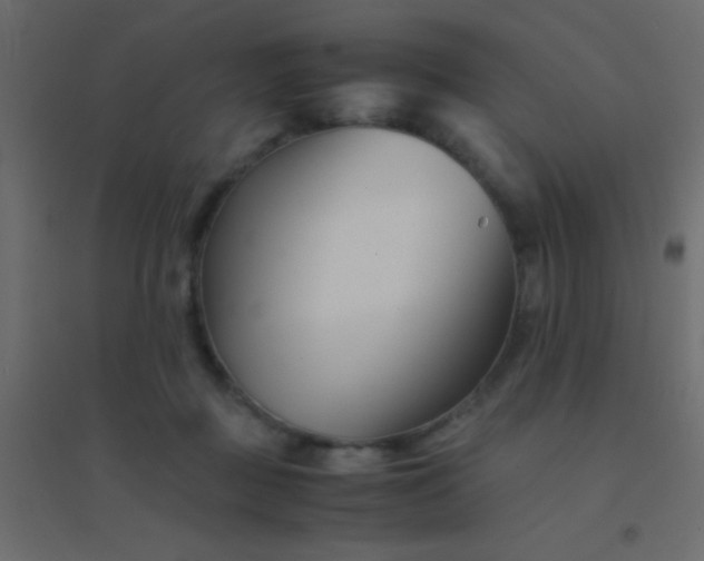 X0000094930363200712131543