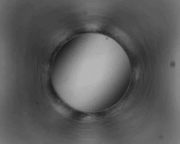 X0000094930364200712131543