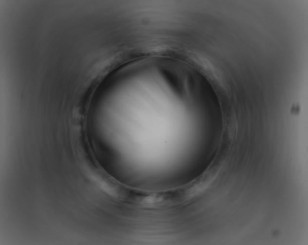 X0000094930366200712131543