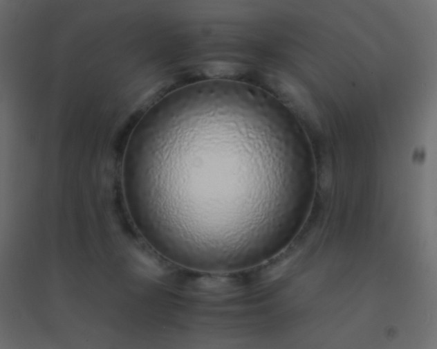 X0000094930367200712131543