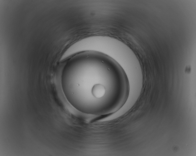 X0000094930368200712131543