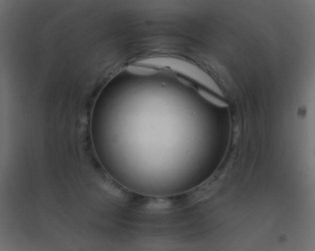 X0000094930369200712131543