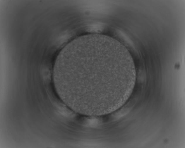 X0000094930370200712131543