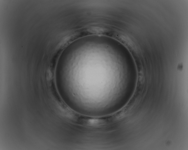 X0000094930371200712131543