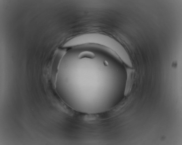 X0000094930373200712131543