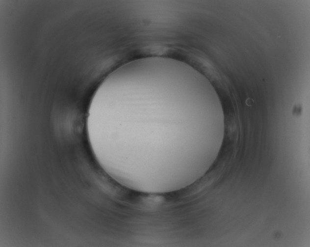 X0000094930374200712131543