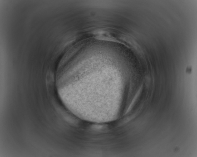 X0000094930375200712131543