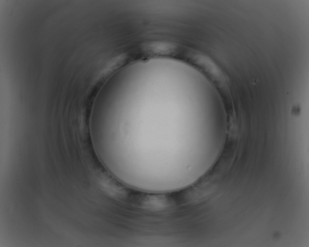 X0000094930377200712131543