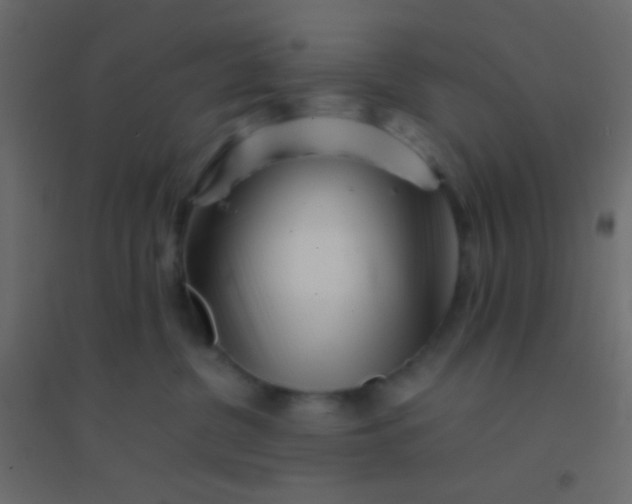 X0000094930380200712131543