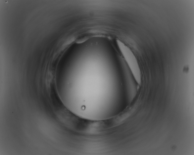 X0000094930382200712131543